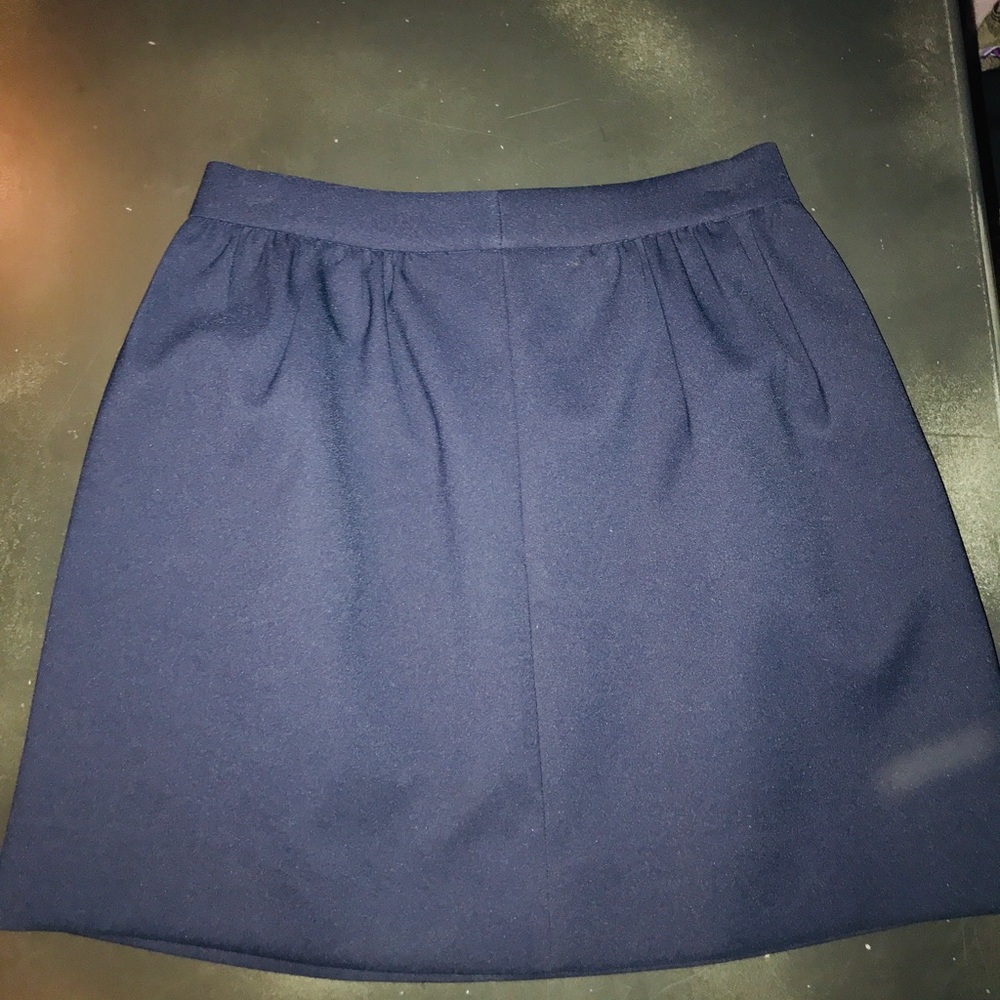 J.Crew Skirt